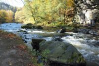 Flußlauf der Weißen Elster