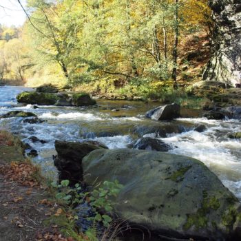 Flußlauf der Weißen Elster