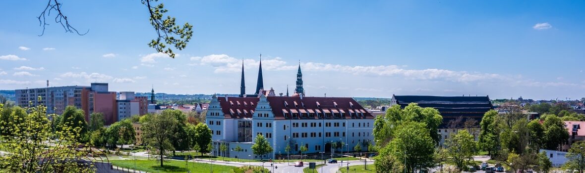 Blick auf Zwickau mit Schloss Osterstein