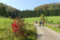 Wanderungen in schöner Natur