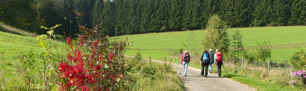 Wanderungen in schöner Natur