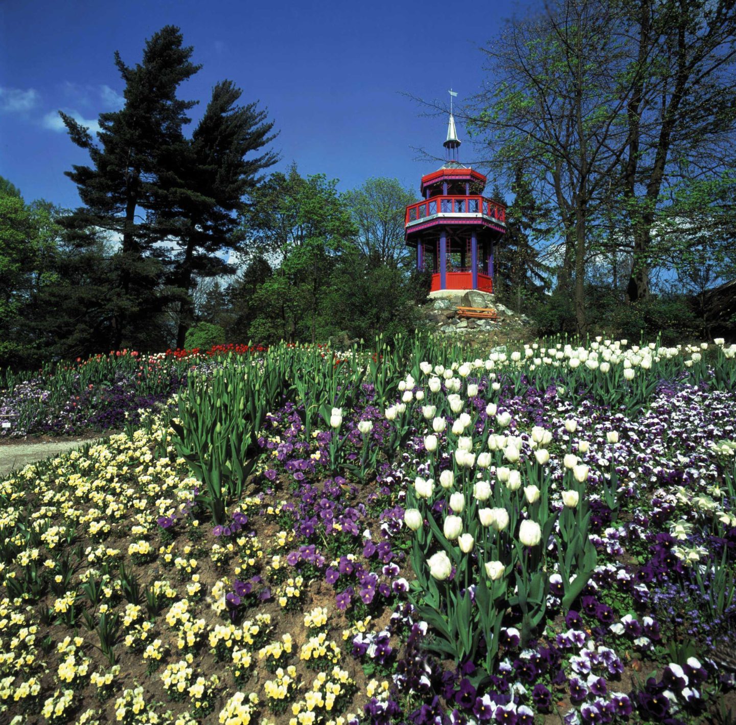 Zoologischer Garten Hof Botanischer Garten Der Stadt Hof