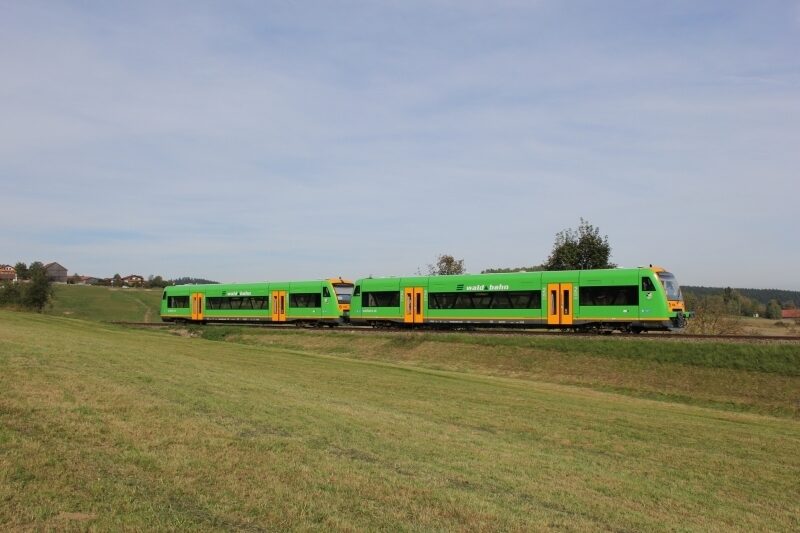 Die waldbahn fährt auf dem Gleis neben einer großen Wiese