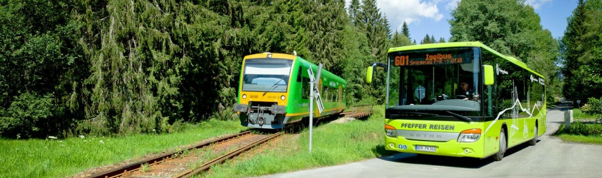 20200823 igelbus oepnv waldbahn daniela bloechinger 2