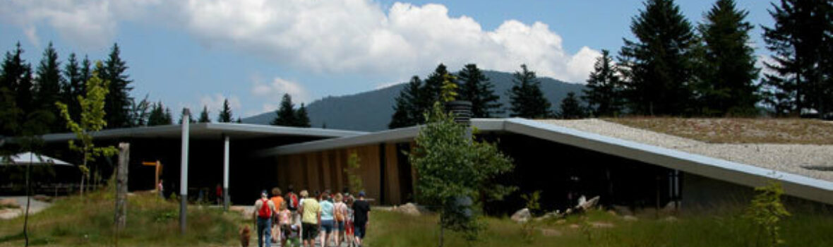 Haus zur wildnis