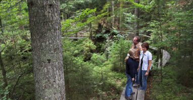 Personen die am Seelensteig in Spiegelau gehen
