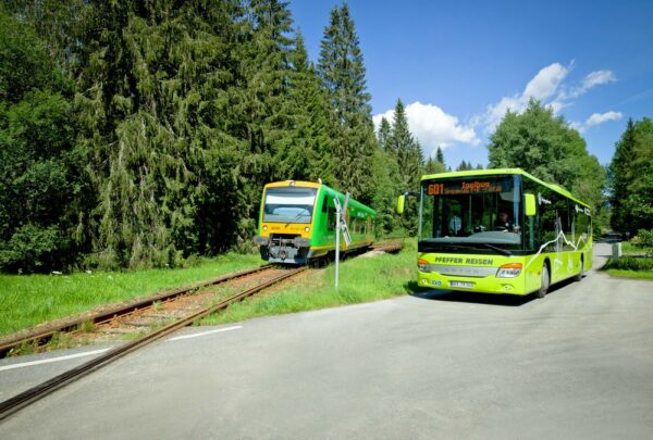 20200823 igelbus oepnv waldbahn daniela bloechinger 2
