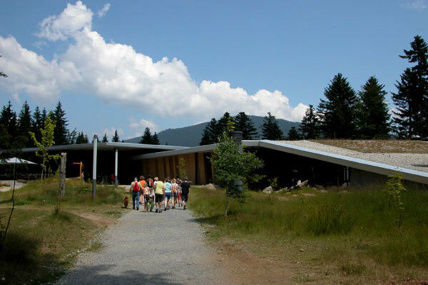 Haus zur wildnis