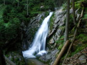 Ein Wasserfall im Wald