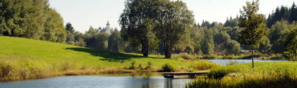 Kurpark im Sommer von Spiegelau