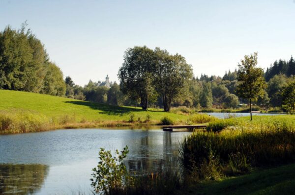 Kurpark im Sommer von Spiegelau