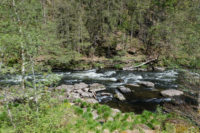 Der Fluss schwarzer Regen der durch Bayerisch Kanada fließt. Flusswanderung nach Teisnach durch Bayerisch Kanada