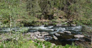 Der Fluss schwarzer Regen der durch Bayerisch Kanada fließt. Flusswanderung nach Teisnach durch Bayerisch Kanada