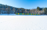 Waldbahn die im Winter auf dem Gleis durch den Wald fährt