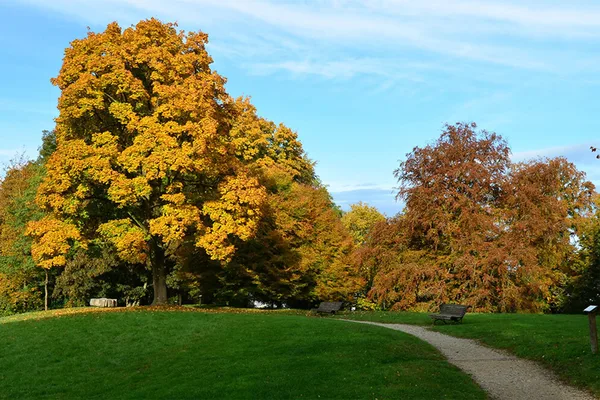Grüne Parklandschaft mit herbstlichen Bäumen und Spazierweg, sonniger Himmel.