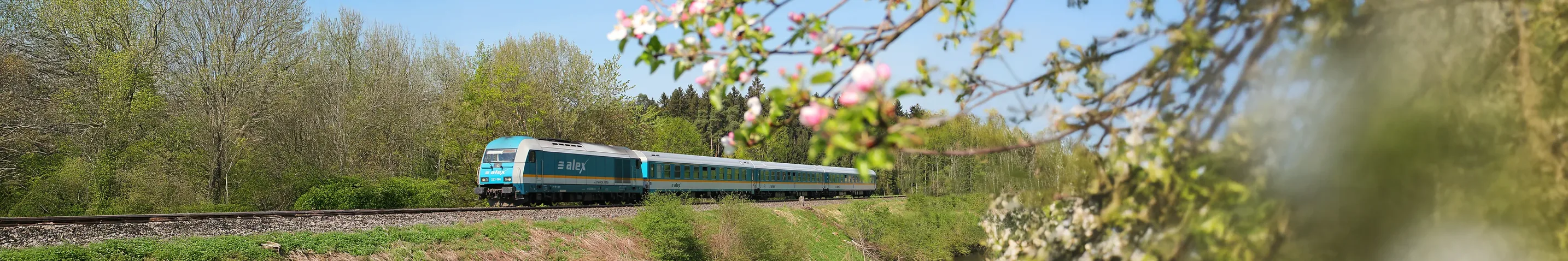alex - Zug auf der Strecke im Frühling unterwegs.