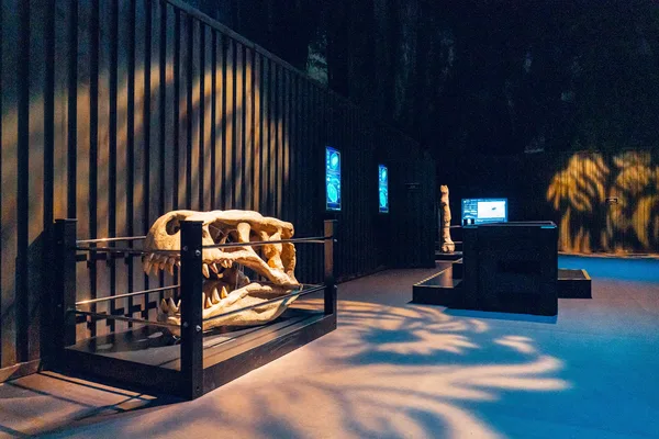 Jurassic World Dinosaurierschädel in der Ausstellung.