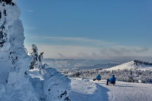 Schlittenfahrt vom Arber nach Bodenmais