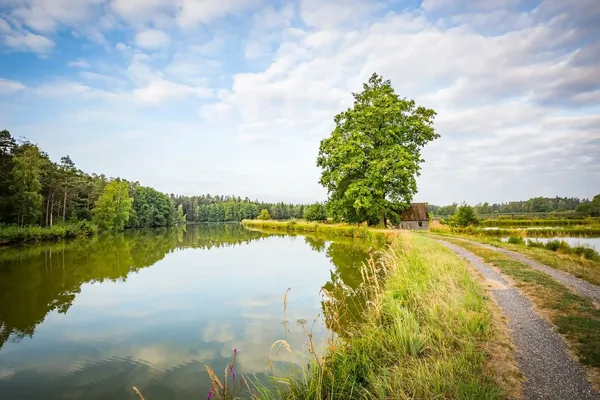 Das Bild zeigt einen ruhigen See, an dem rechts ein Weg entlanggeht, der zu einem hohen Baum und einer Hütte führt. Am Seeufer stehen Bäume, die sich im See spiegeln.
