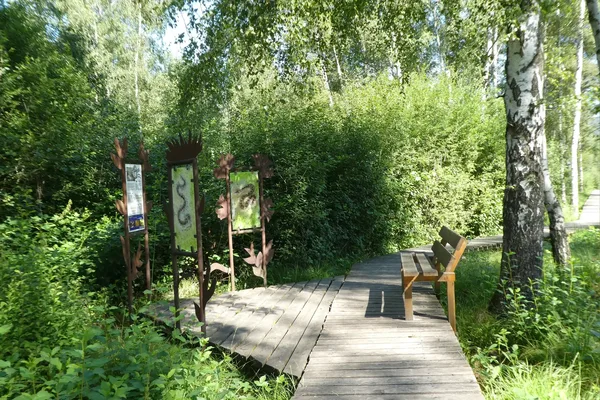 Holzsteg mit Sitzbank und Informationstafeln inmitten einer grünen Waldlandschaft
