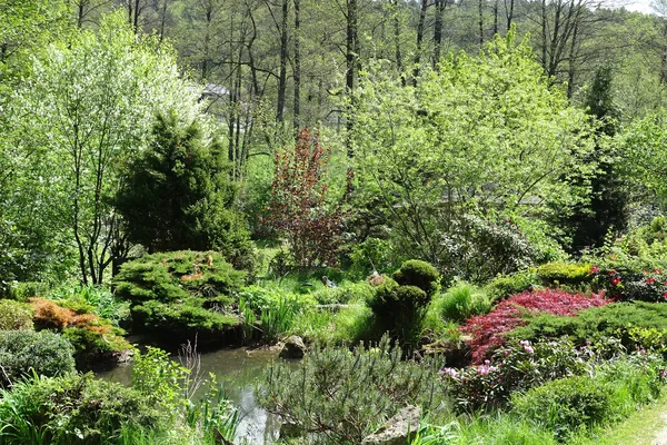 Naturlandschaft mit kleinem Weiher, Büschen, Sträuchen und Bäumen