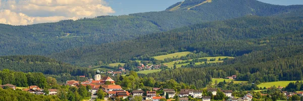 Dorf in einem Tal, umgeben von Wäldern und Hügeln, mit einem Berg im Hintergrund