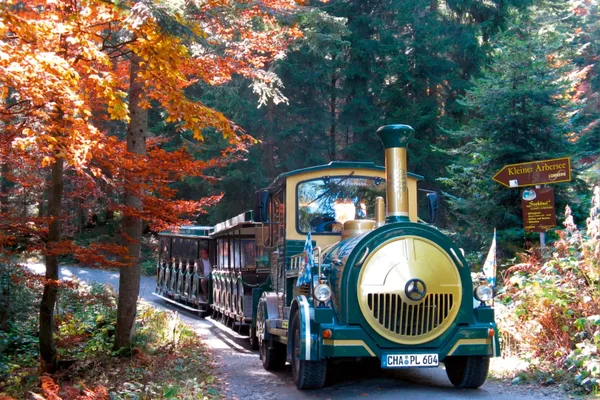 Grüne Ausflugsbahn mit Waggons auf einem Weg durch einen Wald im Herbst