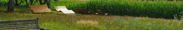 Wiese mit Sitzgelegenheiten und Liegen am Rand eines Feldes