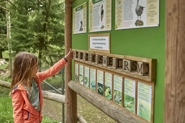 Kind löst ein Tierrätsel an einer interaktiven Tafel im Freien