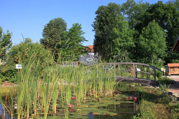 Teich mit Schilfpflanzen und kleiner Holzbrücke in einer Parkanlage