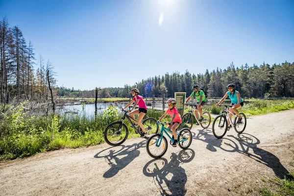 Eine Familie fährt mit ihren Rädern einen Waldweg entlang. Im Hintergrund ist ein See, umgeben von Bäumen, zu sehen.