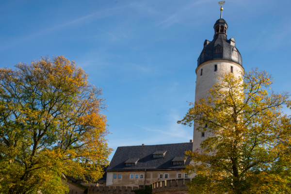 Blick auf das Schloss Altenburg mit seinem markanten Turm, umgeben von Bäumen vor blauem Himmel. Das historische Residenzschloss beherbergt das Schloss- und Spielkartenmuseum und zählt zu den bekanntesten Sehenswürdigkeiten Altenburgs