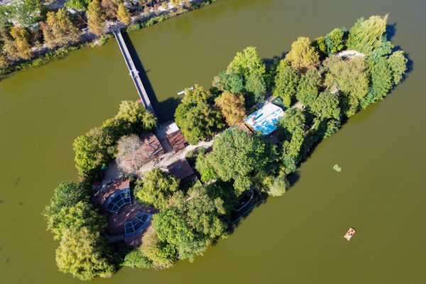 Draufsicht auf Insel in Fluss, dicht bewachsen mit Laubbäumen, Draufsicht auf Inselzoo in Altenburg