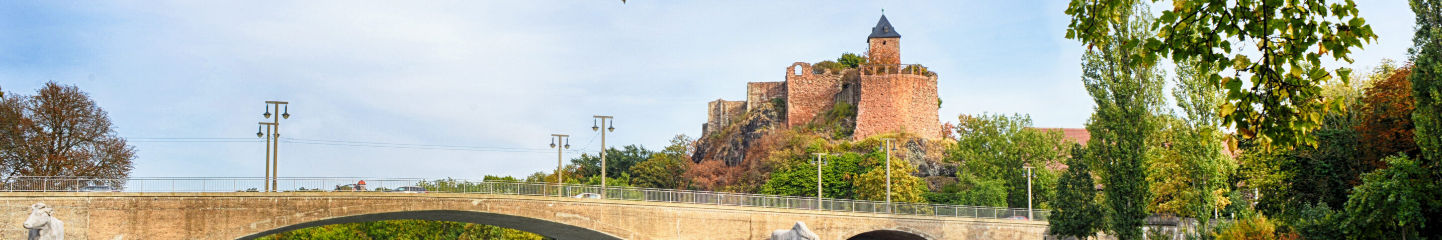 Blick über die Saale in Halle (Saale) mit einer Brücke, Ausflugsschiffen und der historischen Burg Giebichenstein im Hintergrund. Umrahmt von grünen Bäumen spiegelt sich die Flusslandschaft im ruhigen Wasser.