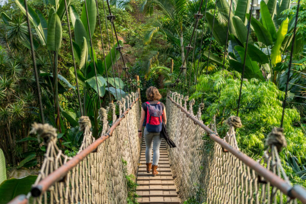 Person mit Rucksack auf einer Hängebrücke in der tropischen Pflanzenwelt im Gondwanaland im Leipziger Zoo mit Palmen und dichtem Grün.