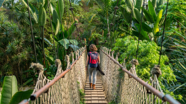 Person mit Rucksack auf einer Hängebrücke in der tropischen Pflanzenwelt im Gondwanaland im Leipziger Zoo mit Palmen und dichtem Grün.