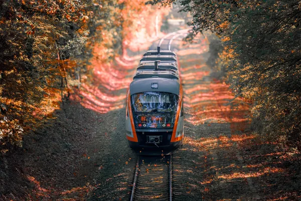 Der trilex fährt durch eine herbstliche Waldlandschaft auf die Kamera zu.