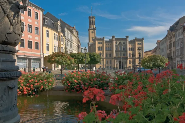 Blick vom Brunnen aus auf den Marktplatz und das Rathaus von Zittau
