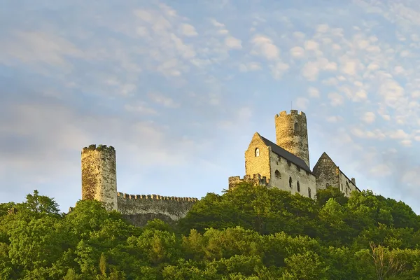 Blick von unten zur Burgruine rauf, umgeben von Bäumen.