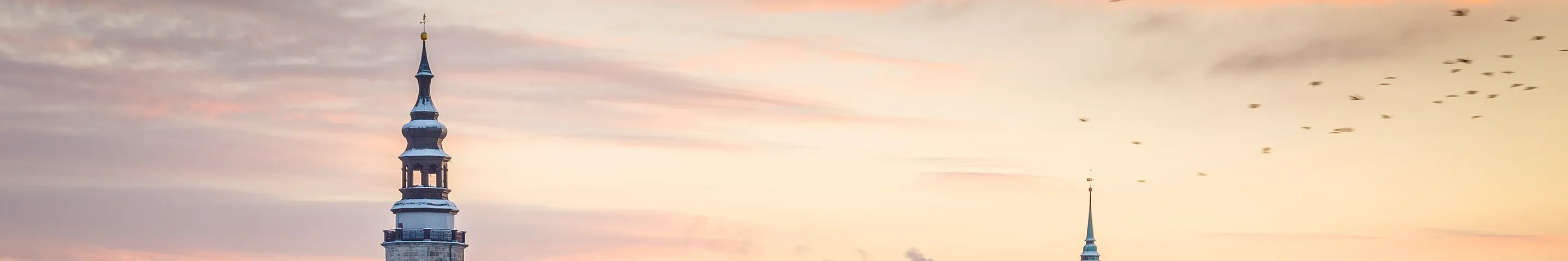 Blick auf die Turmspitzen der Altstadt Görlitz bei winterlichen Wetter.