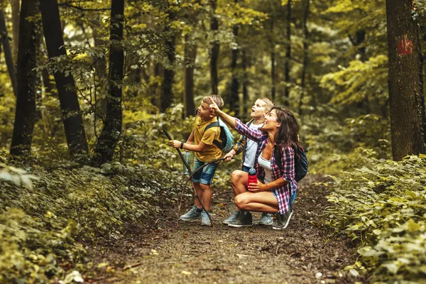 Mutter hockt auf einem Waldweg und zeigt ihren beiden Söhnen etwas in den Bäumen
