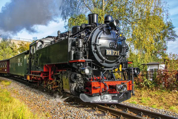 Blick auf die Dampfbahn