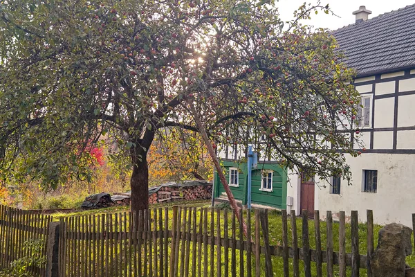 Blick auf einen Apfelbaum, der in einem alten schönen Garten steht. Im hintergrund sieht man ein Umgebindegebäude.