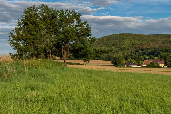 Malerische grüne Landschaft und im Hintergrund zeichnet sich der Große Picho ab.