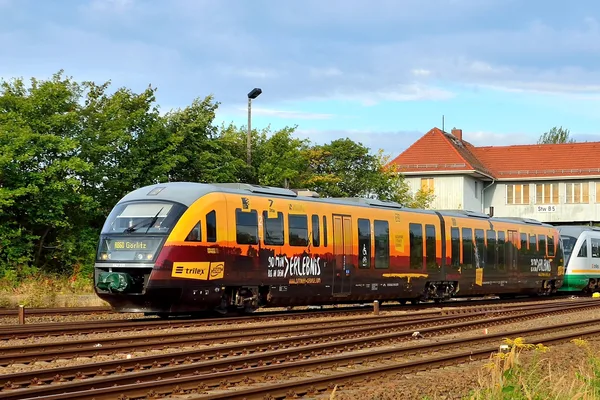 Ein trilex-Triebwagen setzt sich am Bahnhof in Bewegung und präsentiert sich dabei in einer auffälligen, orangengelben Sonderbeklebung, die sofort ins Auge fällt.