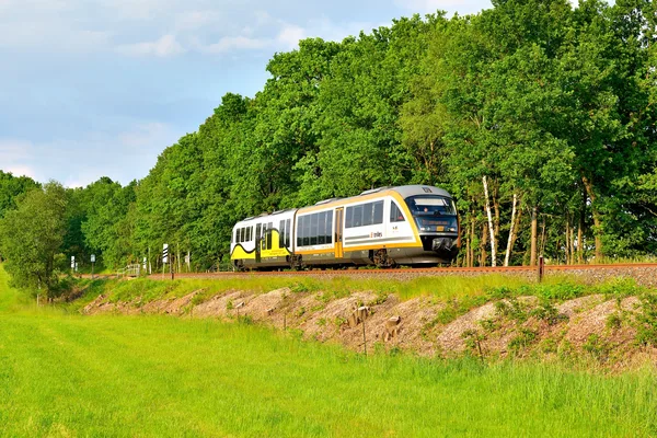Blick auf einen trilex, der an einem Waldstück entlang fährt.