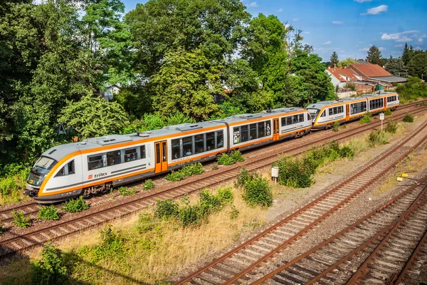 Ein trilex fährt entlang von Bäumen neben mehreren Gleisen.