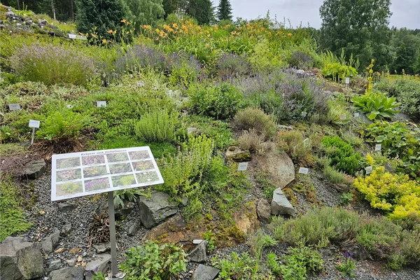 Das Bild zeigt den Botanischen Garten in Adorf.