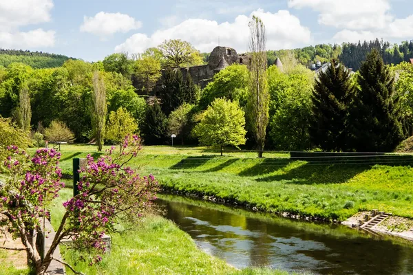 Das Bild zeigt einen Teil der Burgruine Elsterberg sowie im Vordergrund die Weiße Elster.