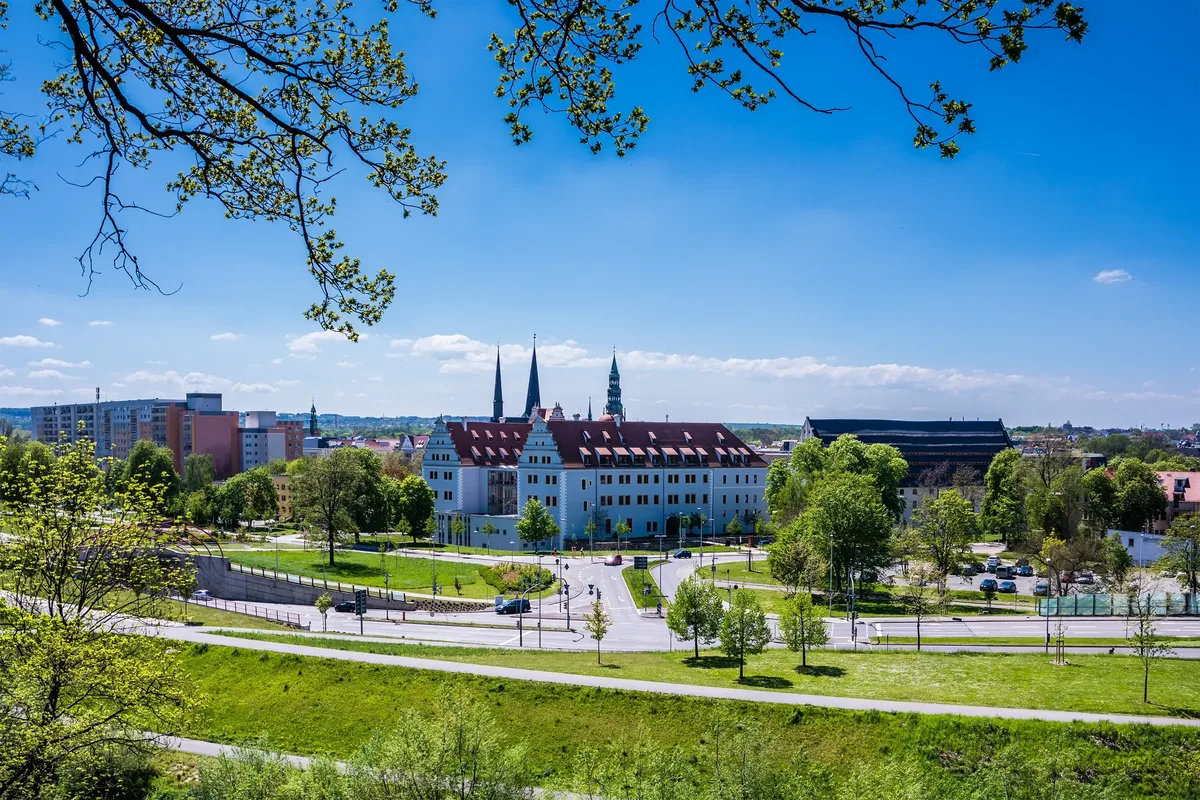 Das Bild zeigt eine Stadtansicht von Zwickau in sommerlicher Natur.